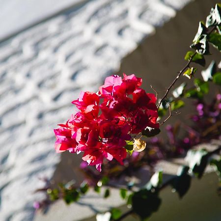 فندق فند كاريا برنسيس بودروم المظهر الخارجي الصورة